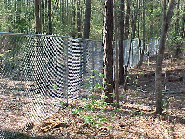 Galvanized Chain Link Fence in Raleigh, North Carolina